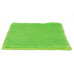 Locker Rug Fuzzy- Green