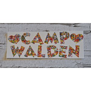 Camp Clings- Walden