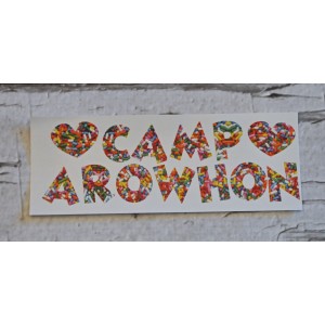 Camp Clings- Arowhon